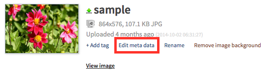 Edit_Metadata.png