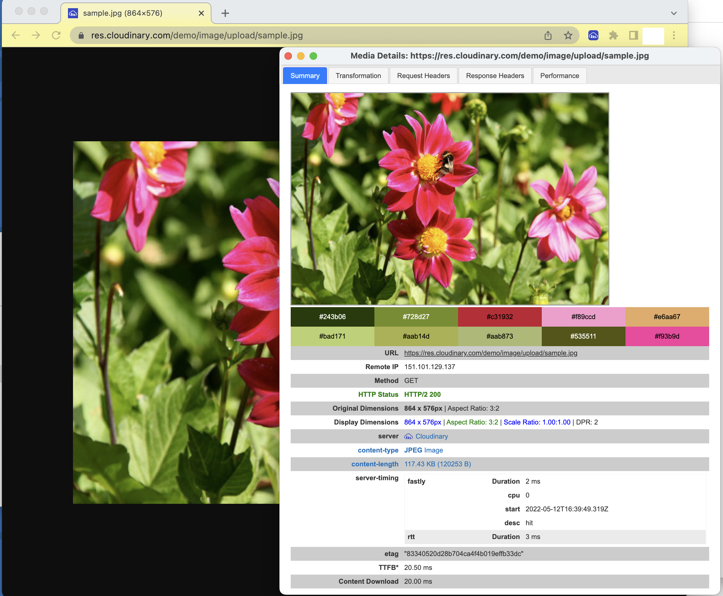 Debugging why an image or video doesn't load in your application or site –  Cloudinary Support